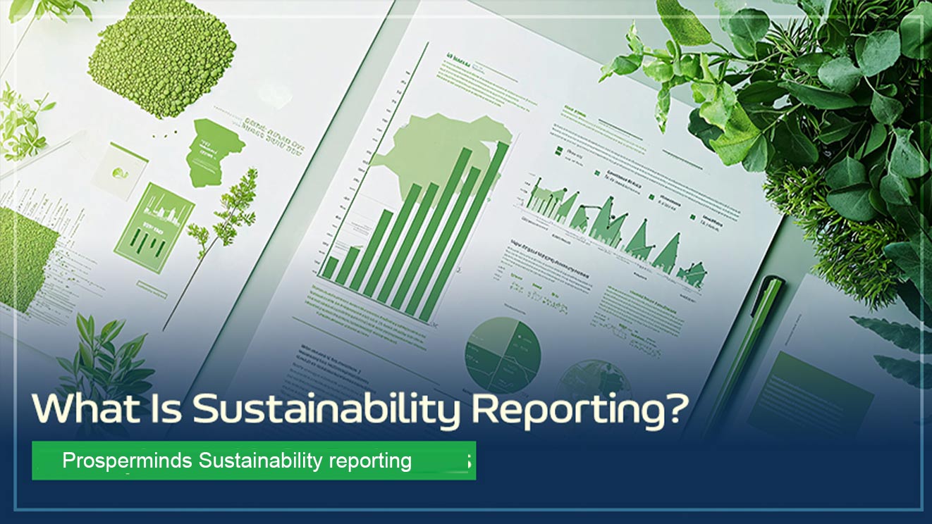 Sustainability reporting 